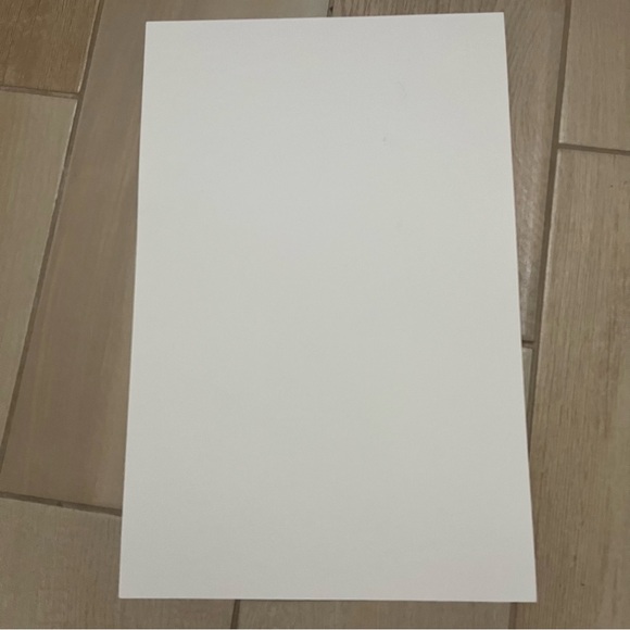 Netflix Train Dreams Movie Poster 11x17 Promo FYC Screening 2025 Academy Award - Picture 2 of 8